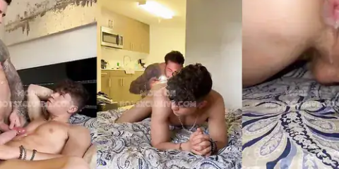Papi Kocic Breeds Drake Von’s Tight Hole
