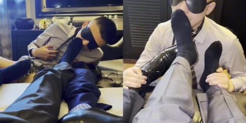 Song Ze-Formal 3P, contrast training pseudo-s