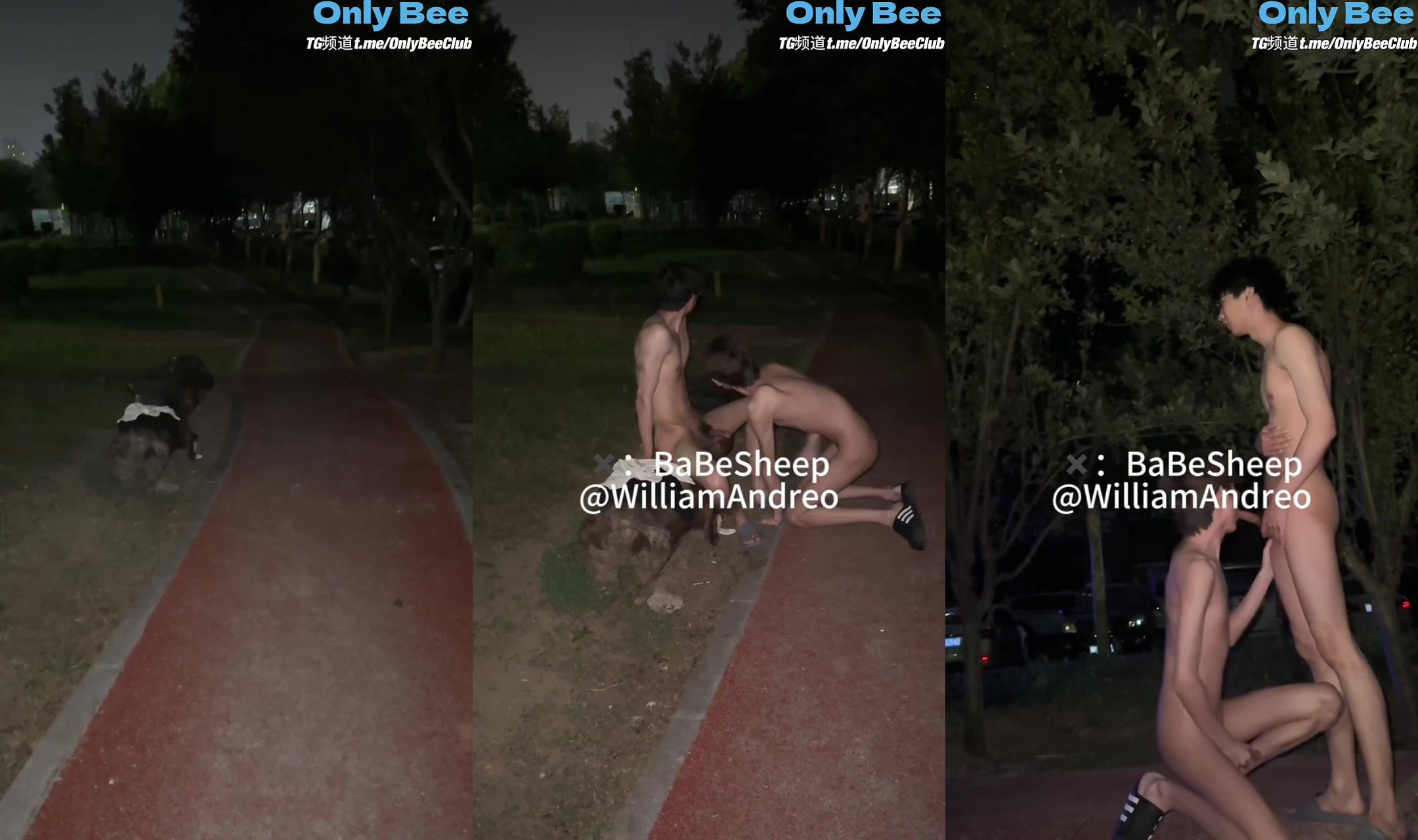 【BaBeSheep】BaBeSheep-Exposed sex in the wild
